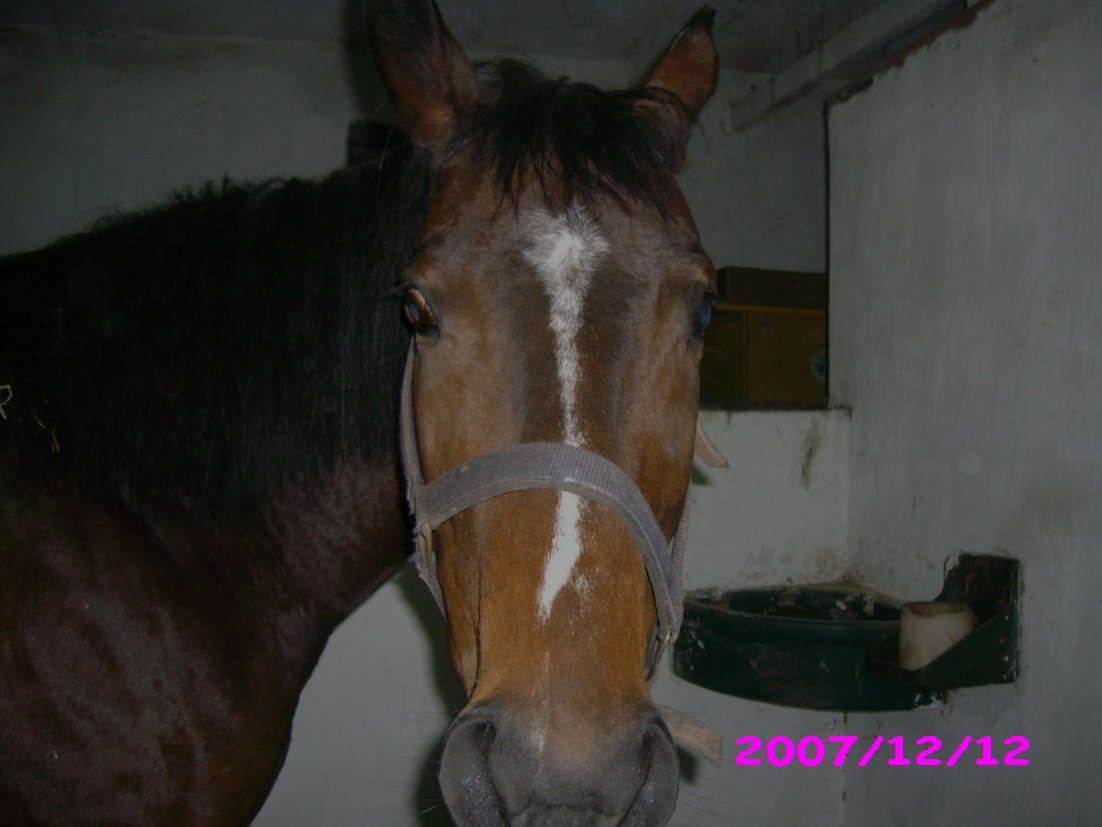 Snímek 011.jpg