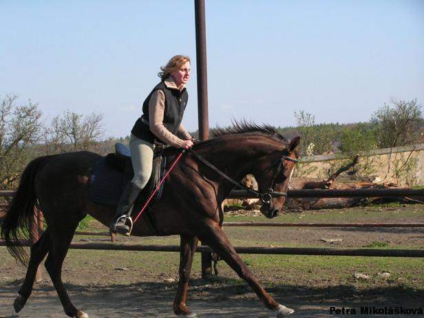 Zlatá Lady.jpg
